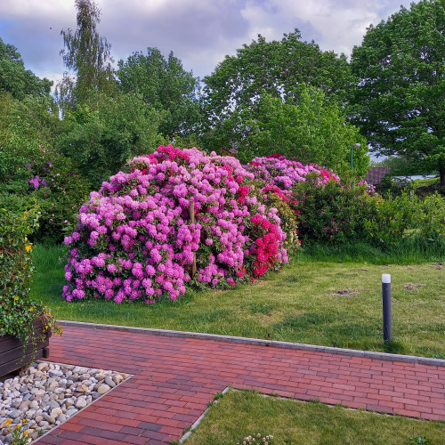 Gastehaus_Garten.jpg